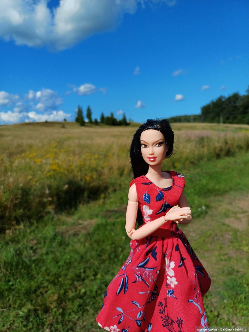Есения и уходящее лето — Гибриды шарнирных кукол (не БЖД): подбор тела (фото 10)