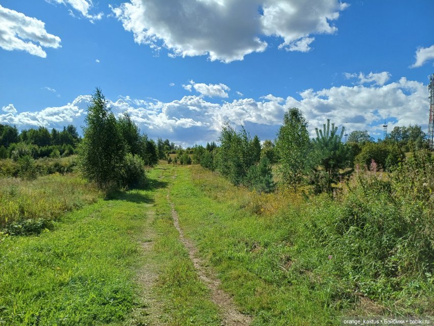 Есения и уходящее лето — Гибриды шарнирных кукол (не БЖД): подбор тела