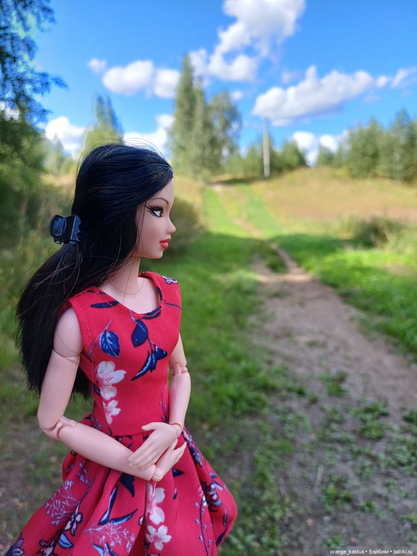 Есения и уходящее лето — Гибриды шарнирных кукол (не БЖД): подбор тела (фото 3)