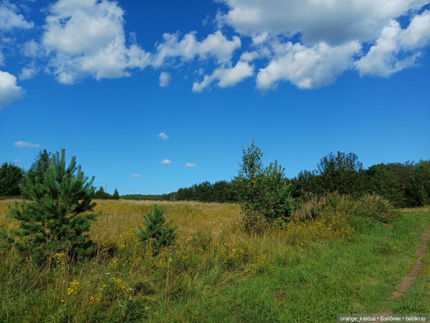 Есения и уходящее лето — Гибриды шарнирных кукол (не БЖД): подбор тела