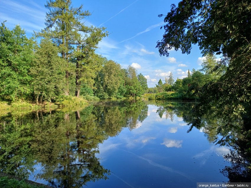 Ксения в Приютино | Бэйбики Ксения в Приютино — Аналоги Барби и куклы 1/6: клоны 90