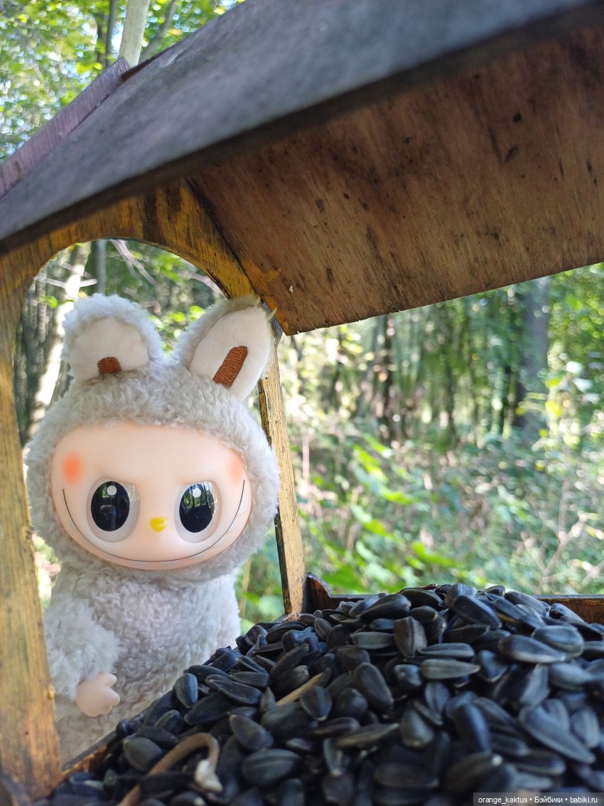 Не удержалась Или новенький Васька (фото 3)