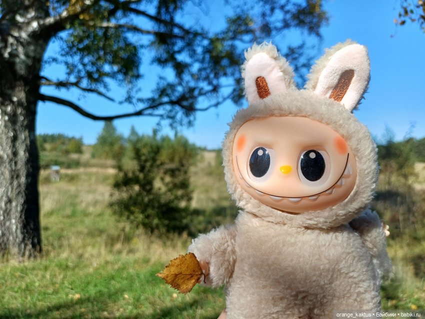 Не удержалась Или новенький Васька (фото 10)