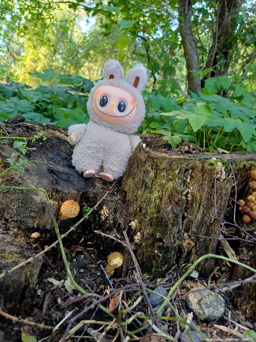 Не удержалась Или новенький Васька