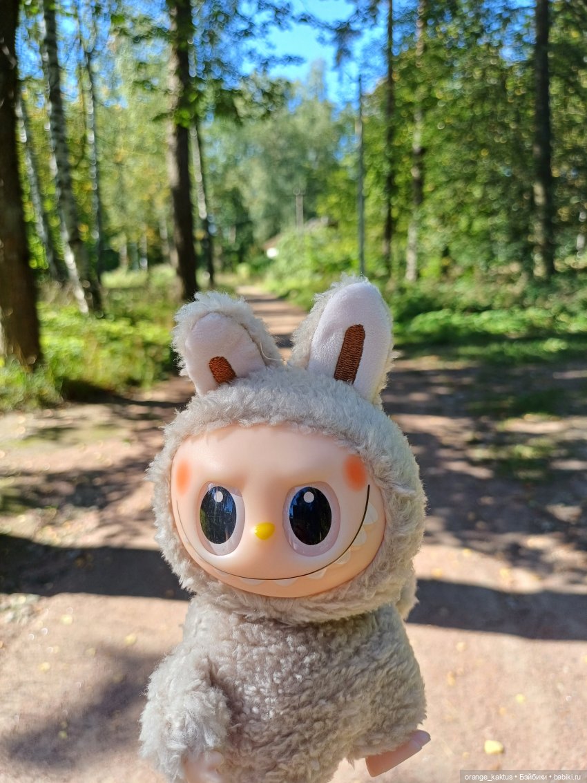 Не удержалась Или новенький Васька (фото 2)