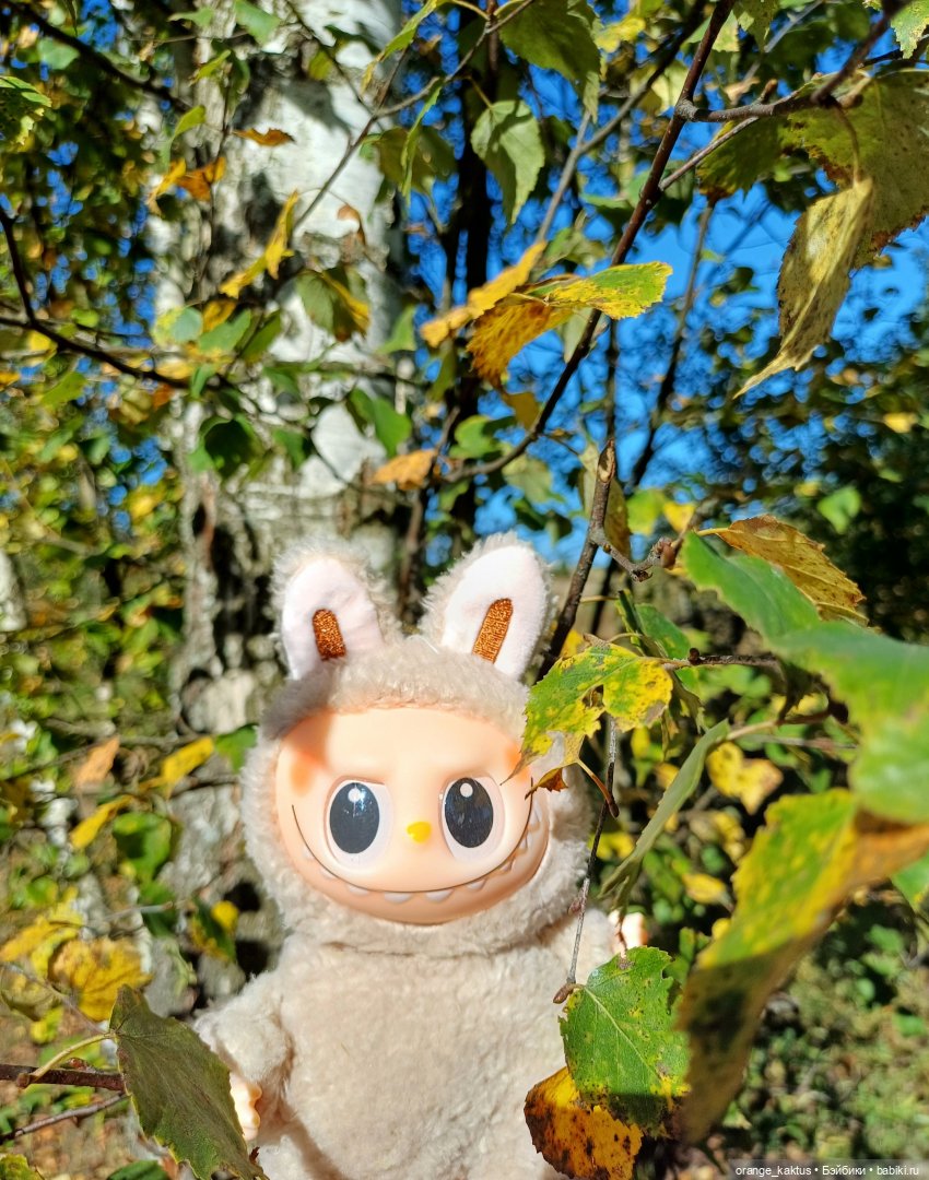 Не удержалась Или новенький Васька (фото 9)