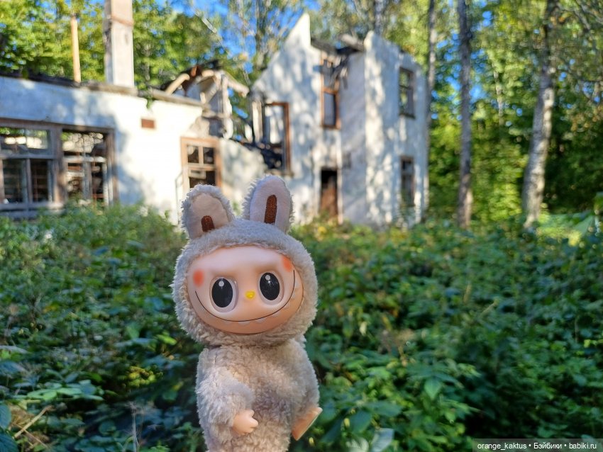 Не удержалась Или новенький Васька (фото 4)