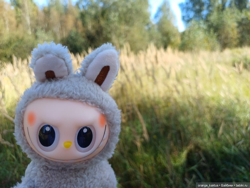 Не удержалась Или новенький Васька (фото 8)