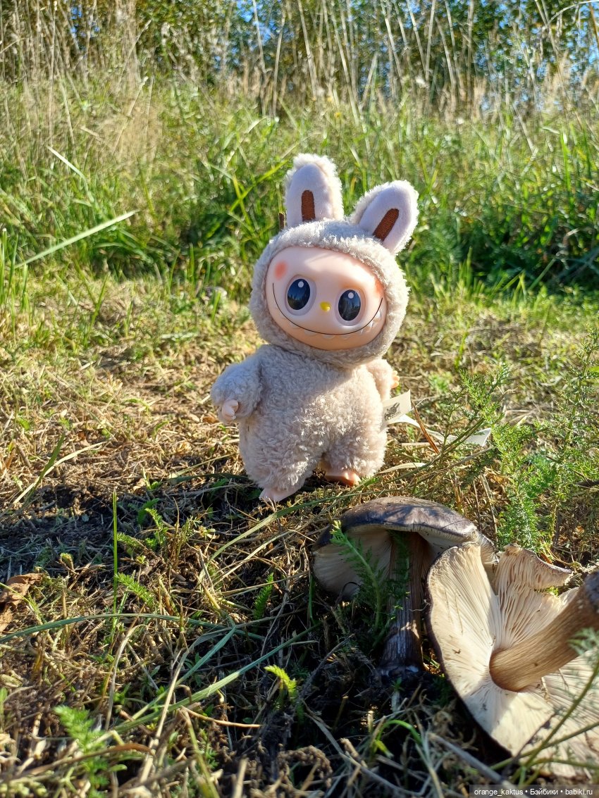 Не удержалась Или новенький Васька