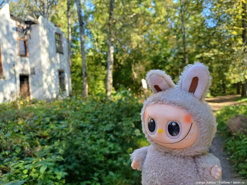 Не удержалась Или новенький Васька (фото 5)