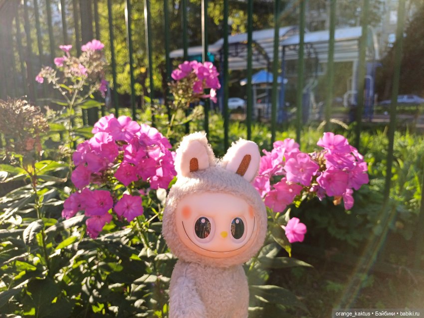 Как Васька в детский сад ходил