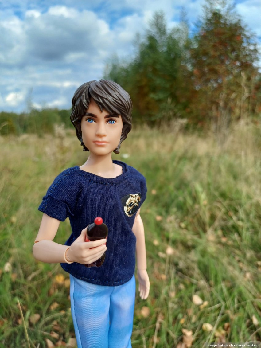 Ни дня без приключений — Куклы Harry Potter (Гарри Поттер) Mattel: Wizarding World
