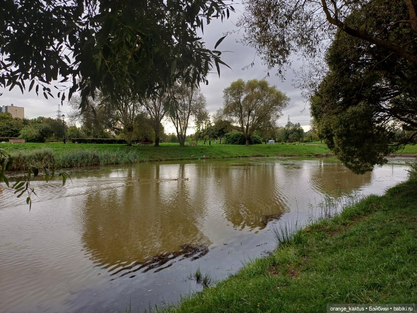 София в парке — Аналоги Барби и куклы 1/6: клоны 90 (фото 3)