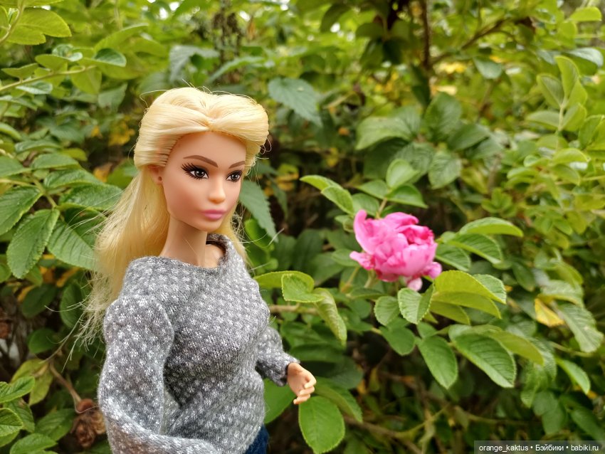 София в парке — Аналоги Барби и куклы 1/6: клоны 90 (фото 2)