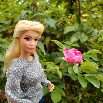 София в парке