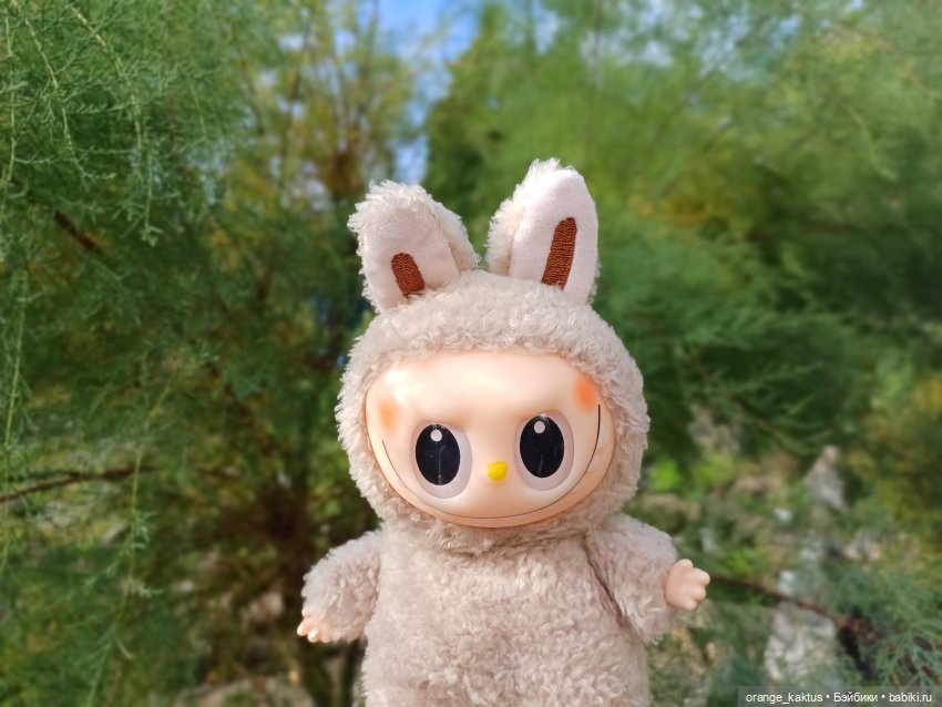 Васька в ботаническом саду (фото 9)