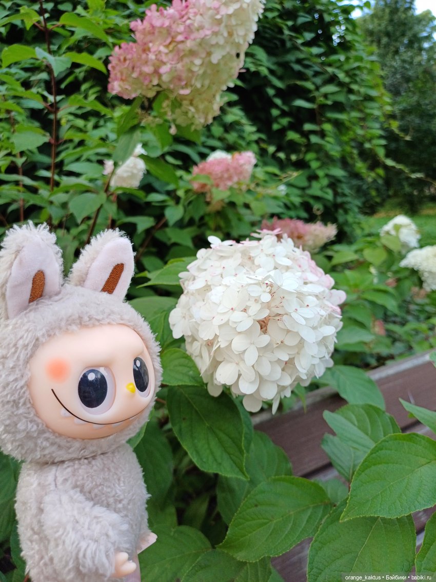 Васька в ботаническом саду (фото 2)