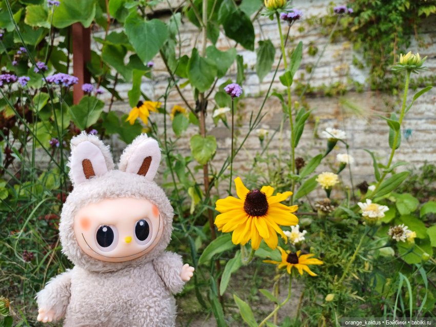 Васька в ботаническом саду (фото 7)