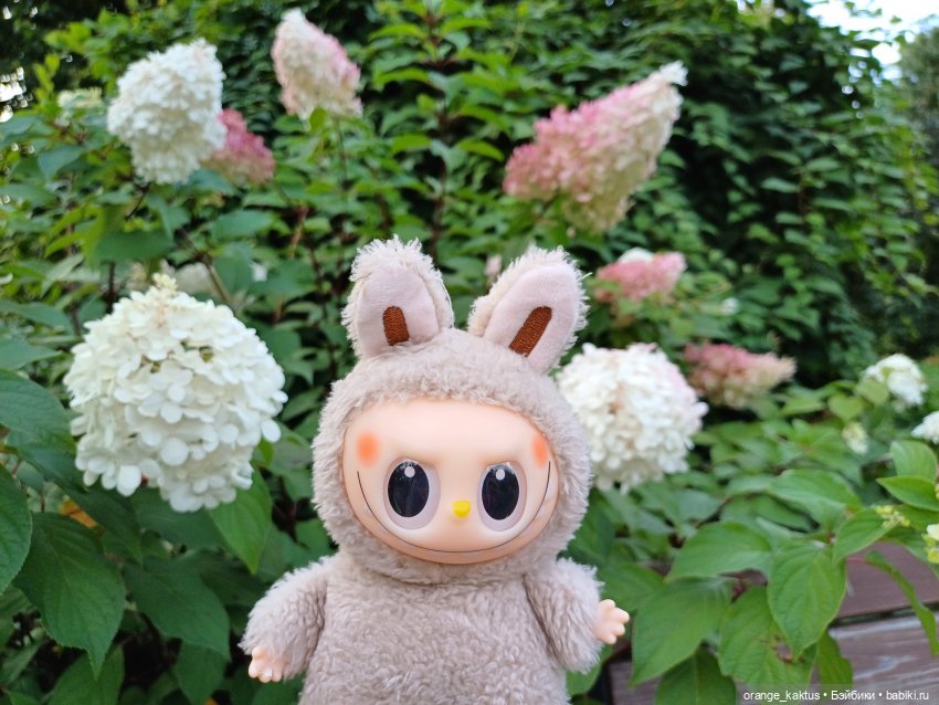 Васька в ботаническом саду