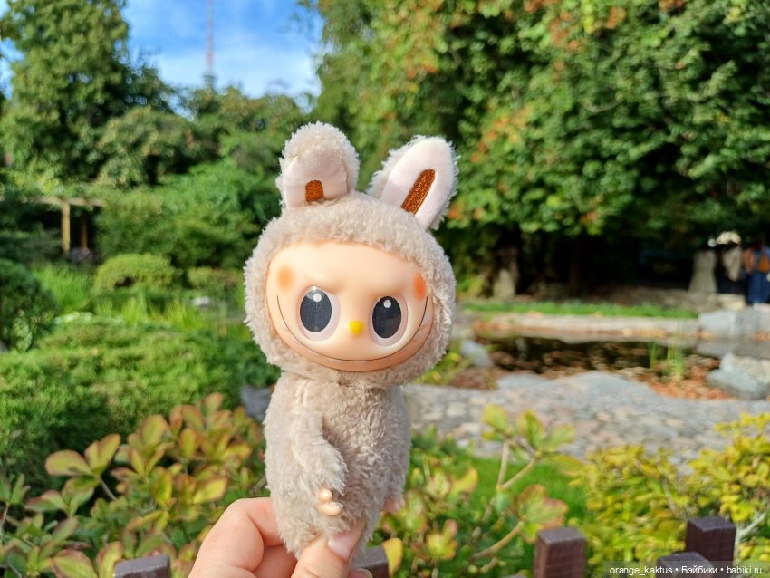 Васька в ботаническом саду (фото 5)