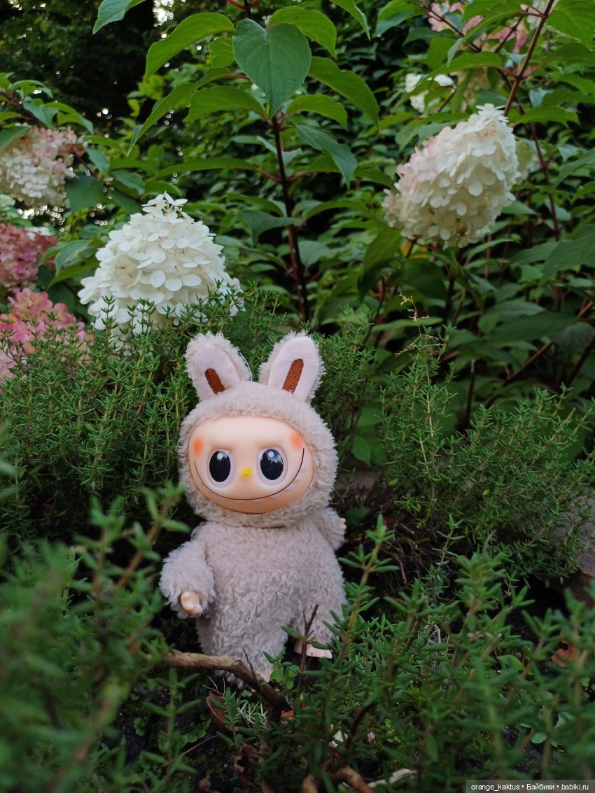 Васька в ботаническом саду (фото 3)