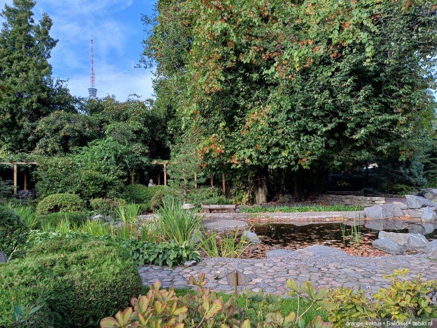 Васька в ботаническом саду (фото 4)