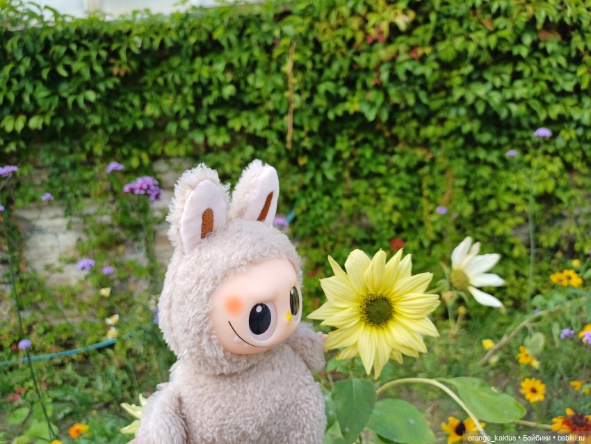 Васька в ботаническом саду (фото 6)