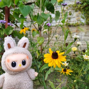 Васька в ботаническом саду