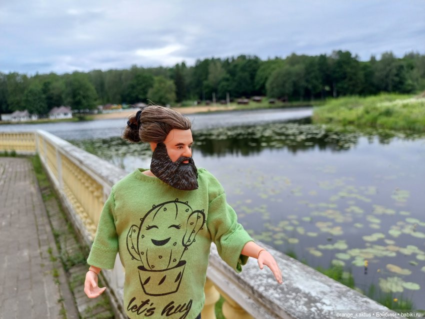 Мавр сделал свое дело. Глава 7 У озера (фото 6)