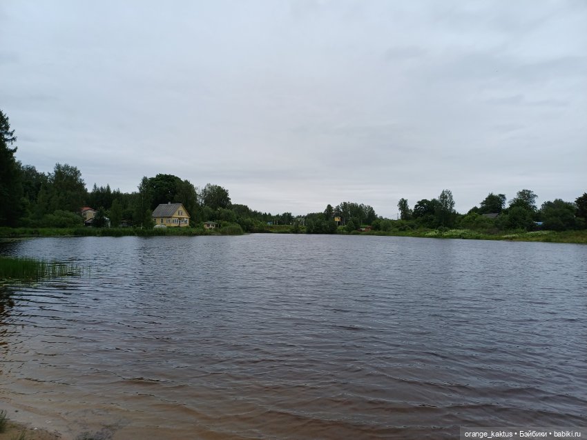 Мавр сделал свое дело. Глава 7 У озера (фото 4)