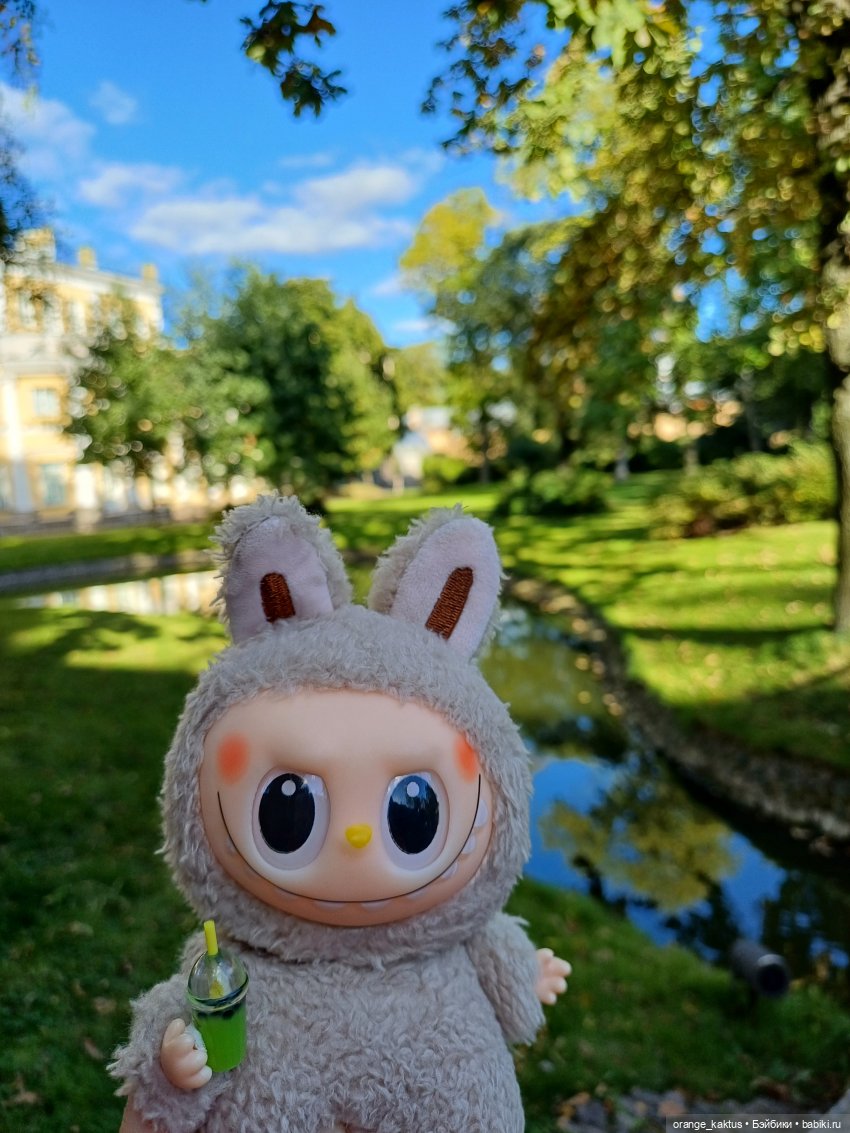 Васька и культурная программа (фото 9)