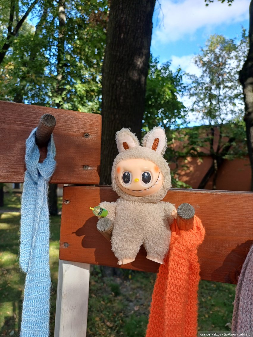 Васька и культурная программа (фото 8)