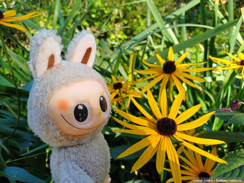 Васька и культурная программа