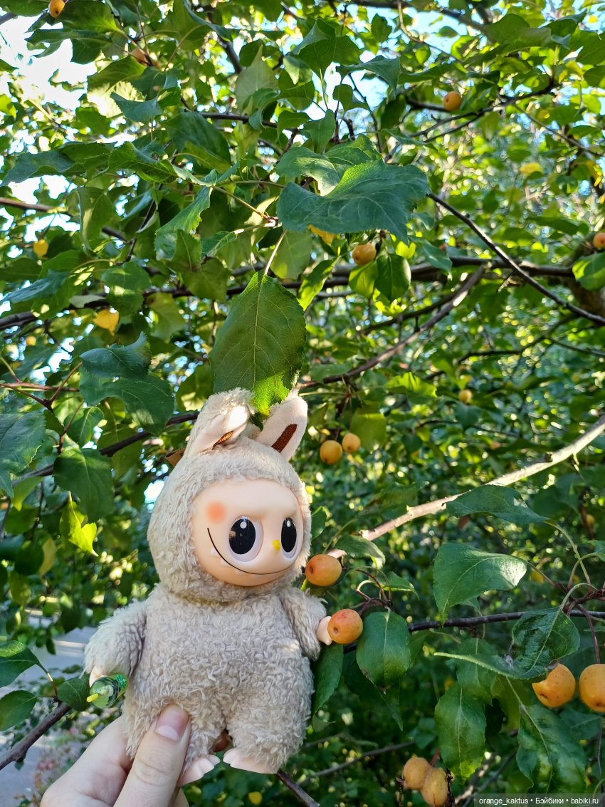 Васька и культурная программа