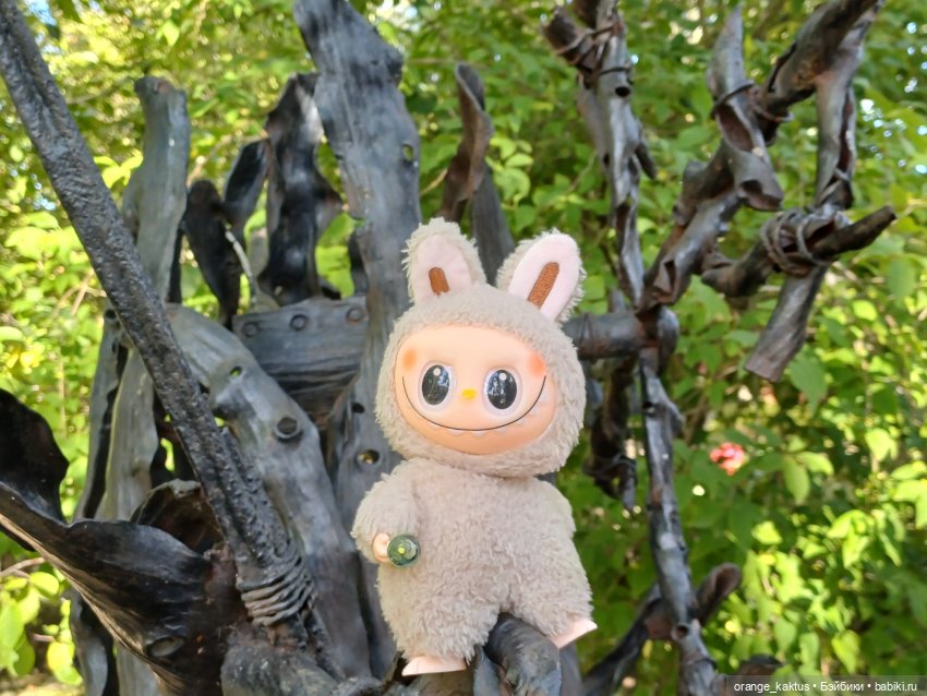 Васька и культурная программа (фото 4)