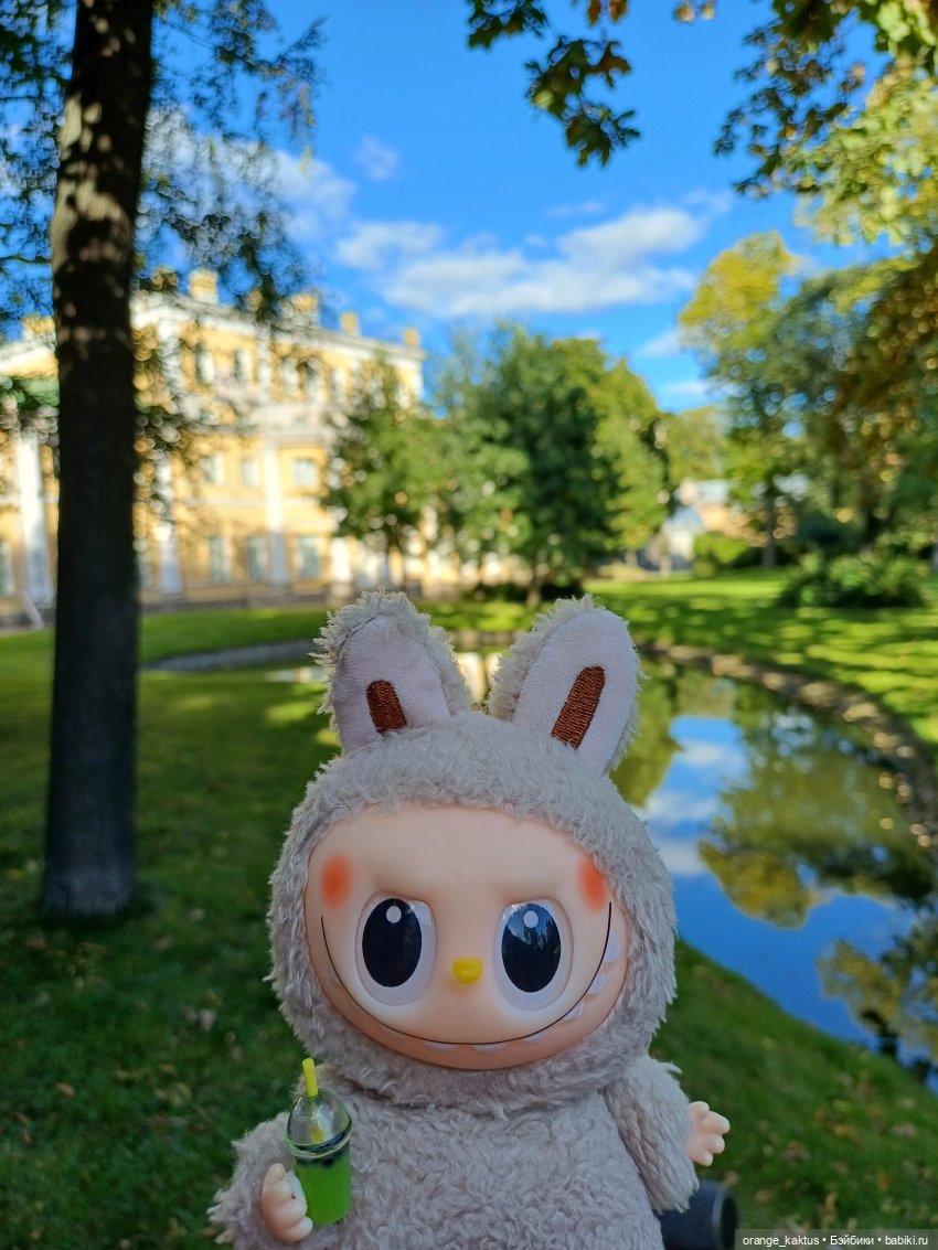 Васька и культурная программа (фото 10)