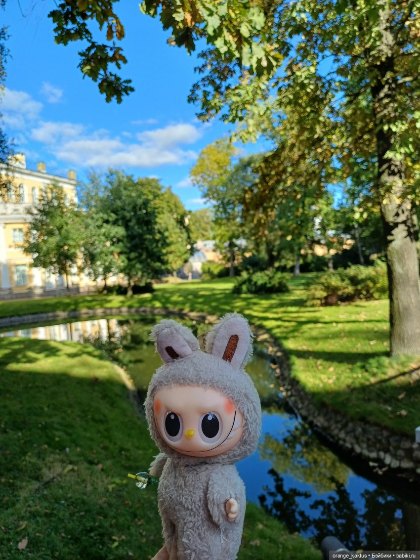 Васька и культурная программа