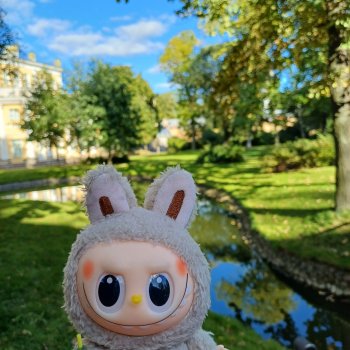 Васька и культурная программа