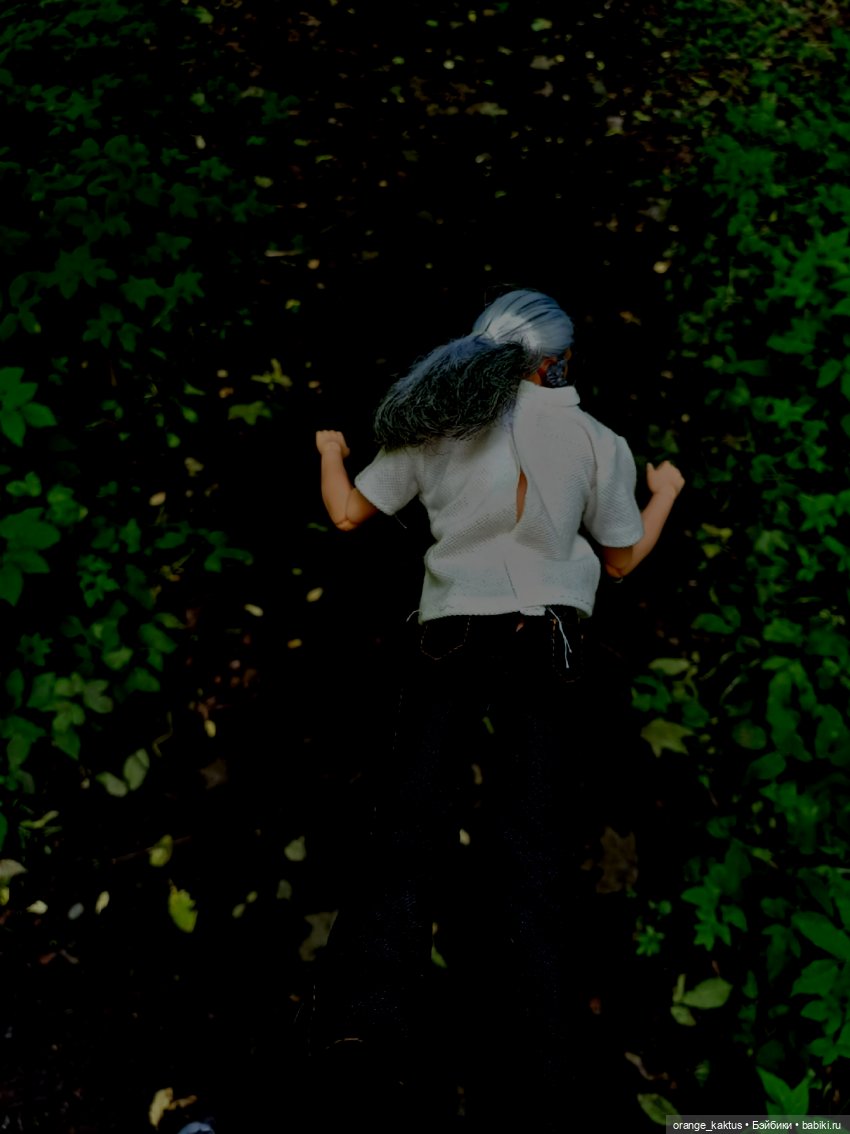 Мавр сделал свое дело. Глава 7 У озера