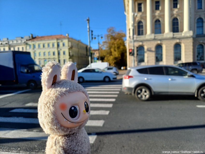 Васька на Ваське (Васильевском острове)