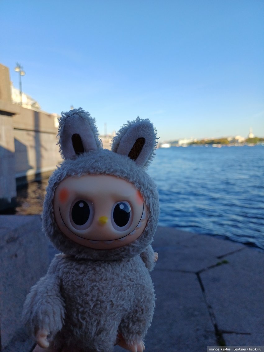 Васька на Ваське (Васильевском острове)