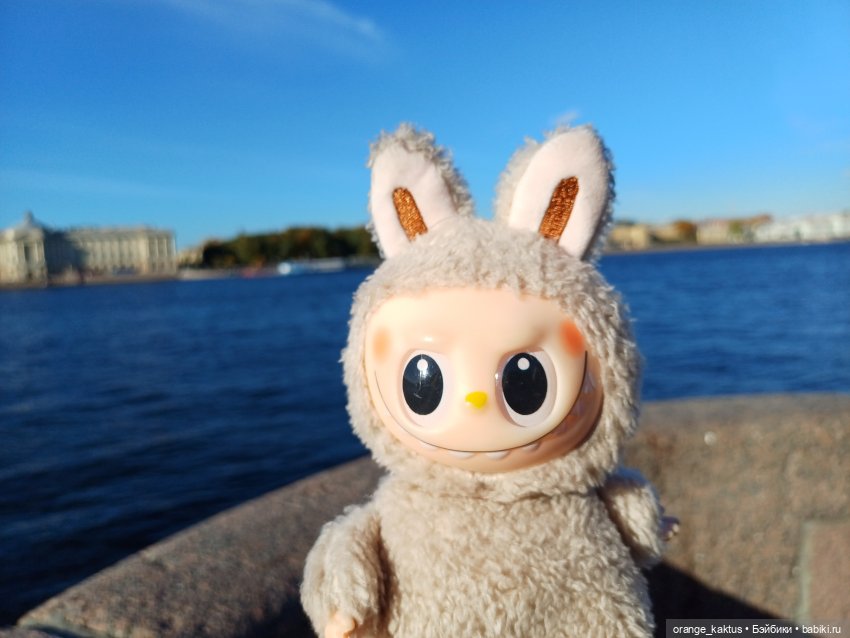 Васька на Ваське (Васильевском острове) (фото 8)