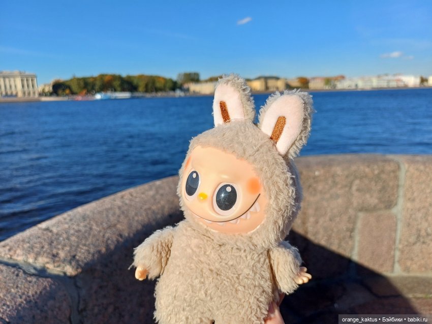 Васька на Ваське (Васильевском острове) (фото 6)