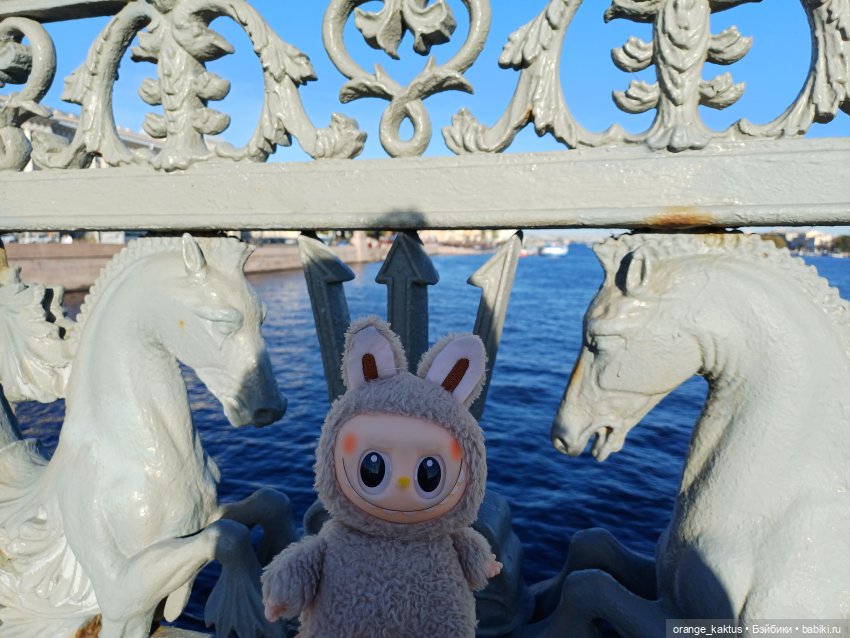 Васька на Ваське (Васильевском острове) (фото 9)