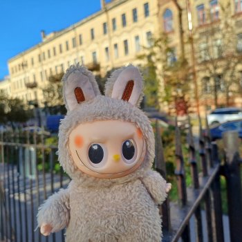 Васька на Ваське (Васильевском острове)