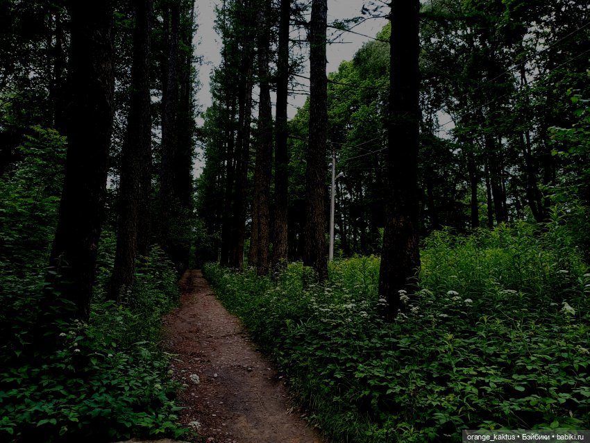 Мавр сделал свое дело. Глава 9. Версия Леопольда