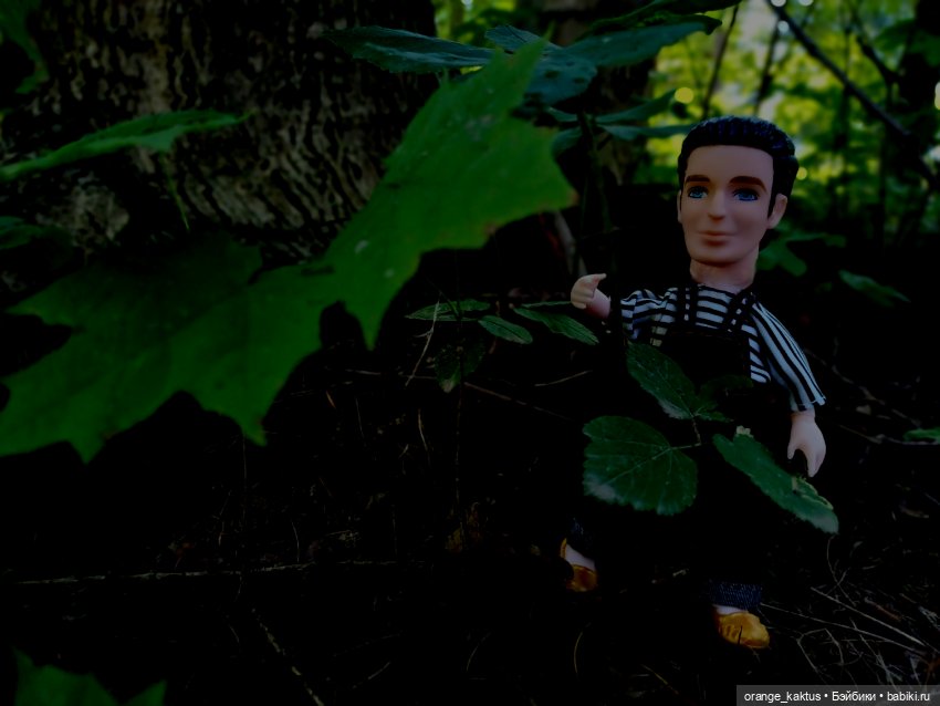 Мавр сделал свое дело. Глава 9. Версия Леопольда