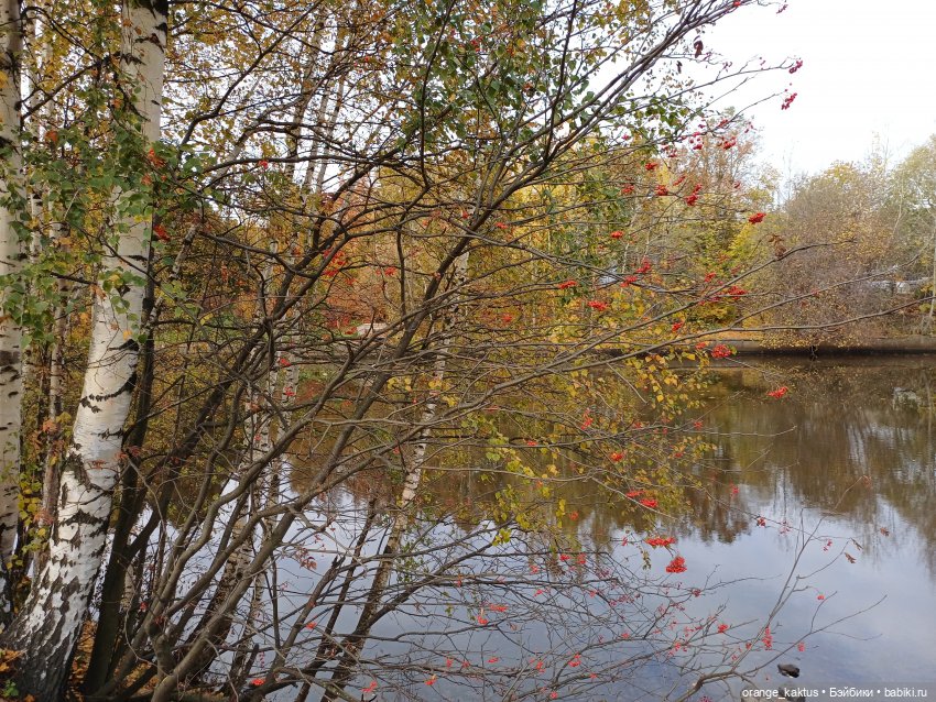 Женя и прогулка в октябре