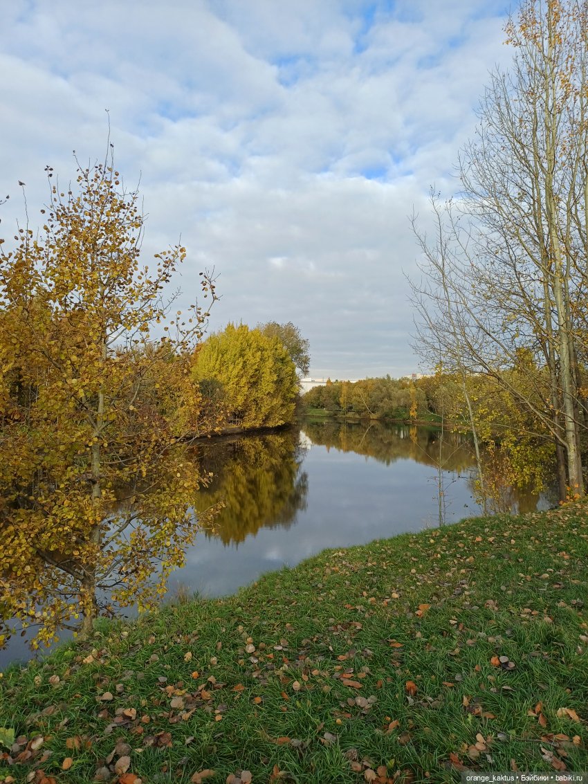 Женя и прогулка в октябре