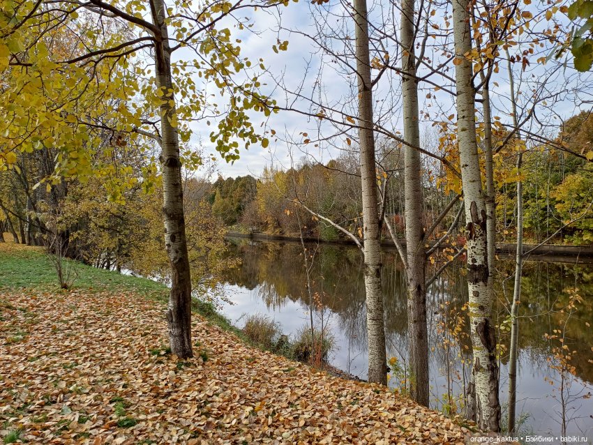 Женя и прогулка в октябре (фото 6)